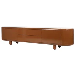 Remy TV Unit