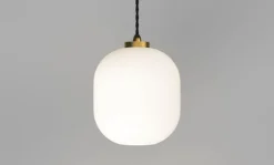 Salon Curve Pendant Lamp