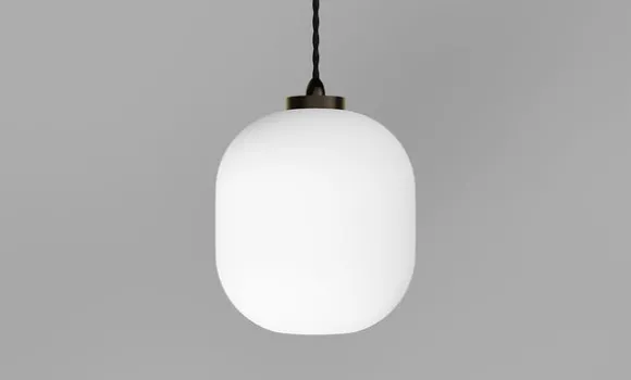 Salon Curve Pendant Lamp