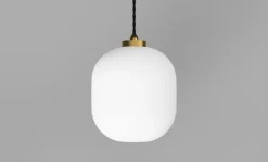 Salon Curve Pendant Lamp