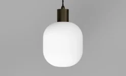 Salon Curve Pendant Lamp