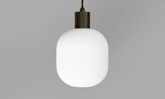 Salon Curve Pendant Lamp