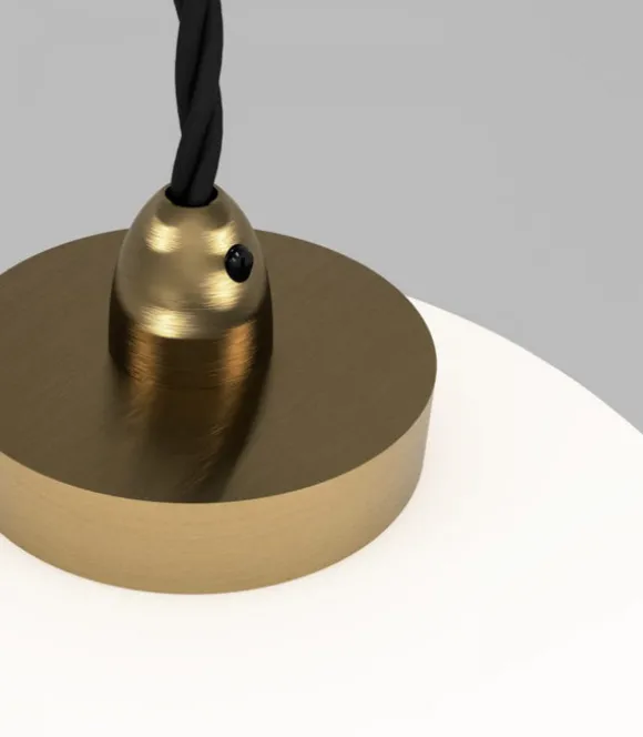 Salon Curve Pendant Lamp