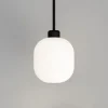 Salon Lite Curve Pendant Lamp