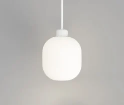 Salon Lite Curve Pendant Lamp