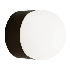Sphere Sur Mini Wall Light