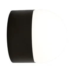 Sphere Sur Wall Light