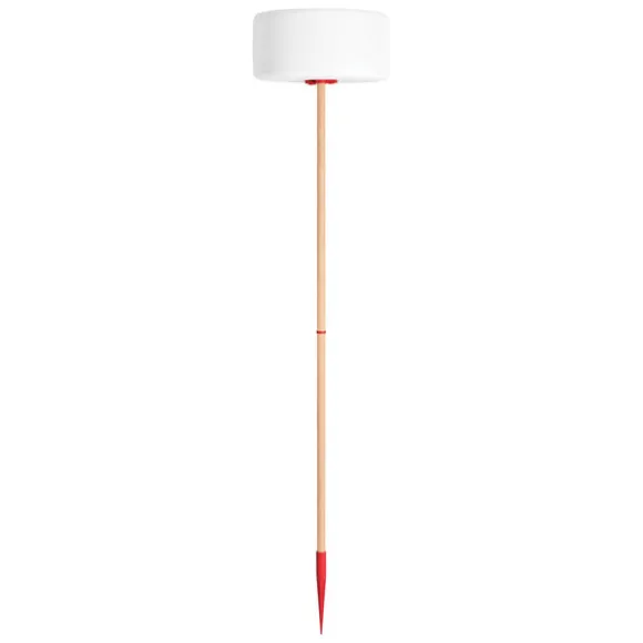 Thierry Le Swinger Light