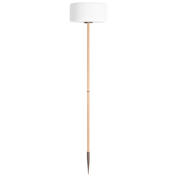 Thierry Le Swinger Light