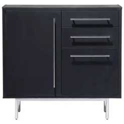 Trunk Media Cabinet