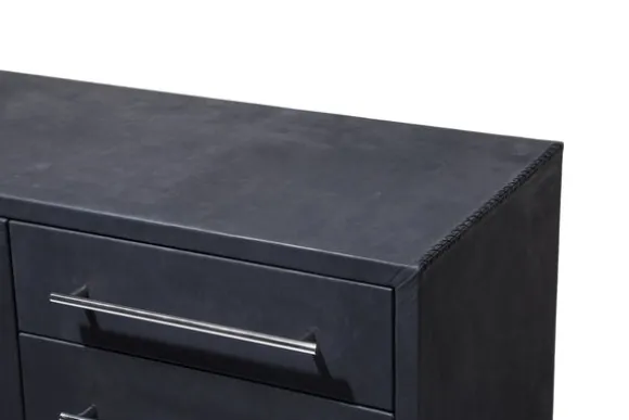 Trunk Media Cabinet