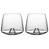 Whiskey Glass - Set of 2
